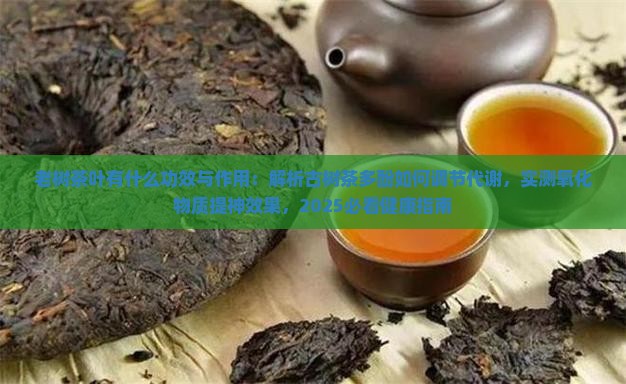 老树茶叶有什么功效