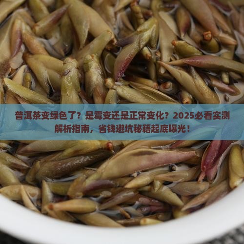 普洱茶变绿色了