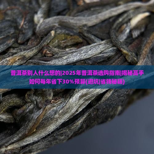 普洱茶别人什么想的