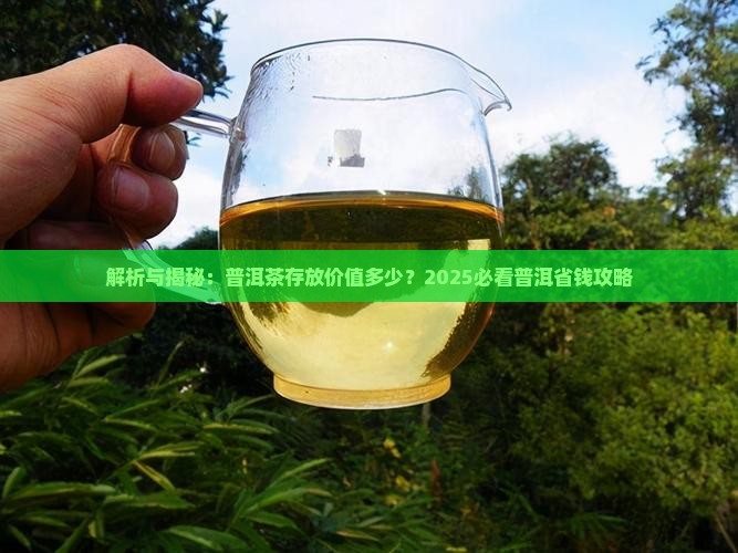 梅子青普洱茶存放价值多少