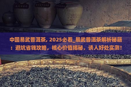 中国易武普洱茶