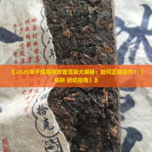 干燥箱放普洱茶