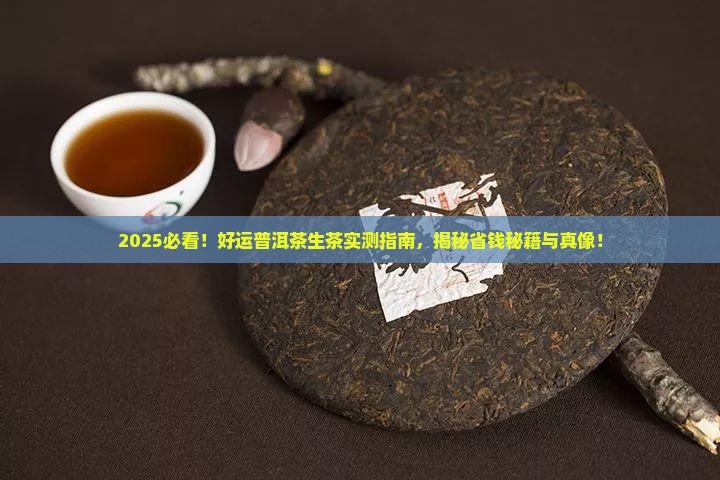 好运普洱茶生茶