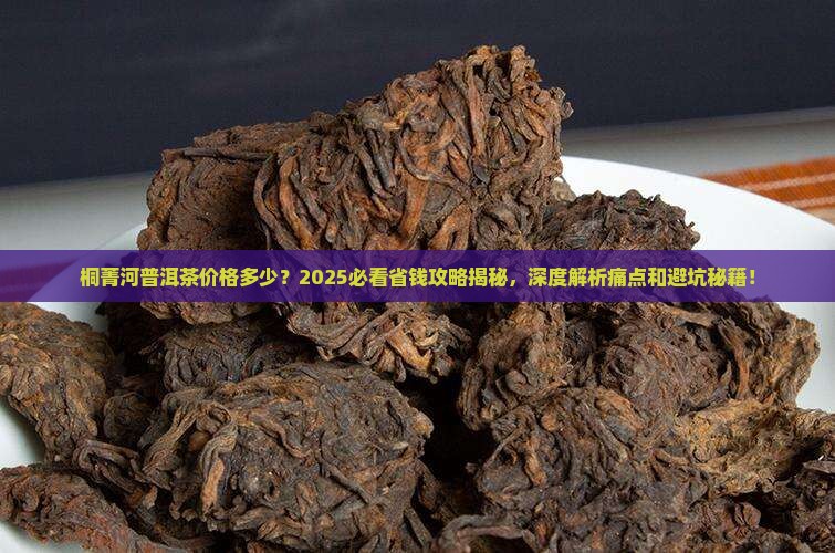 桐菁河普洱茶价格