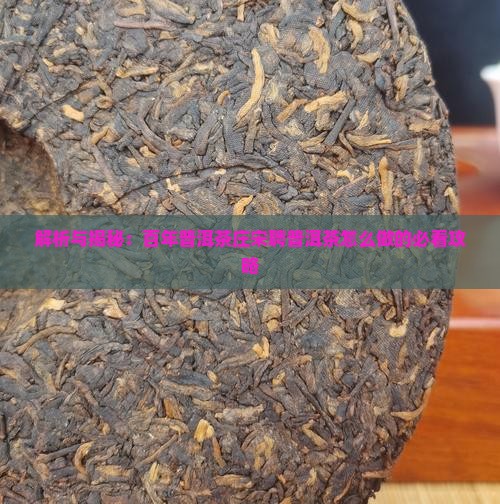 普洱茶宋聘怎么做的