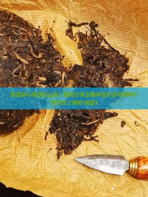 普洱茶小茶饼怎么泡