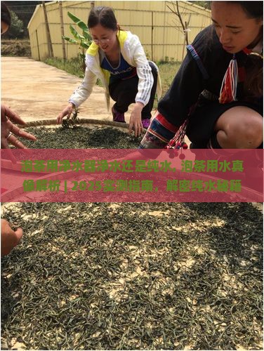 泡茶用净水器净水还是纯水