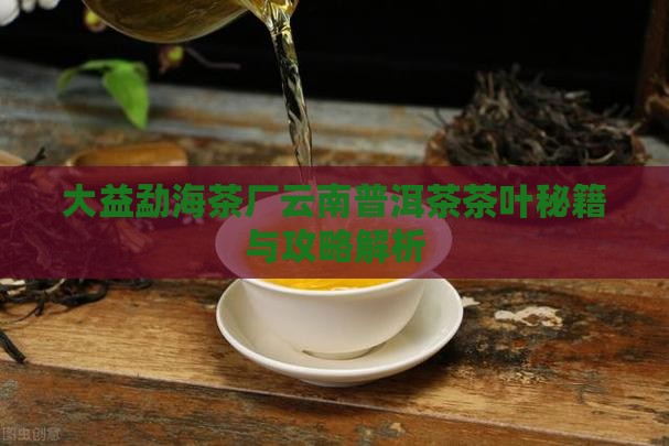 大益勐海茶厂云南省勐海茶叶制品