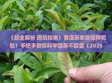 普洱茶家庭如何保存 普洱茶家庭如何保存