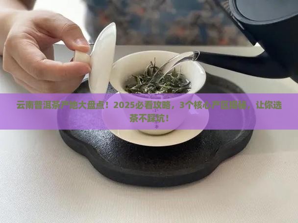 云南普洱茶都有哪些产地