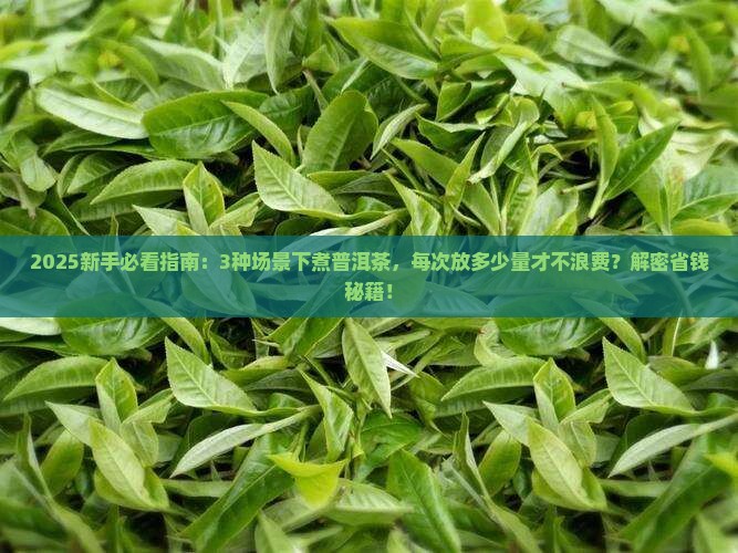 普洱茶每次煮多少合适