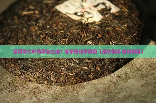 普洱茶大叶熟茶