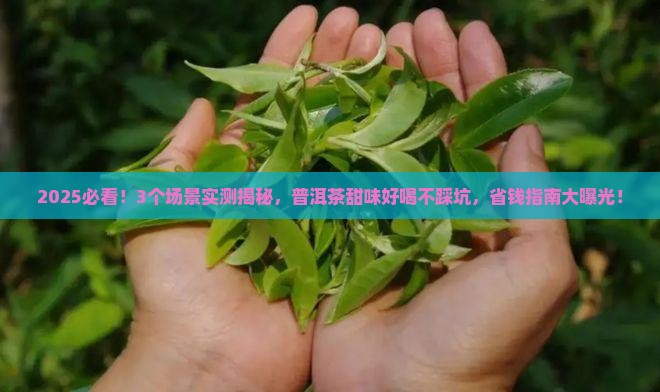 普洱茶哪里有甜味道好