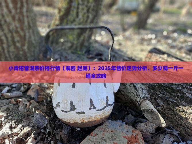 小青柑普洱茶价格行情