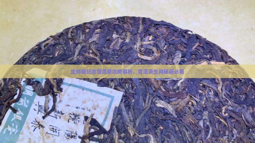 生肖猪纪念普洱茶