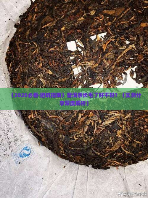 普洱茶长毛了好不好