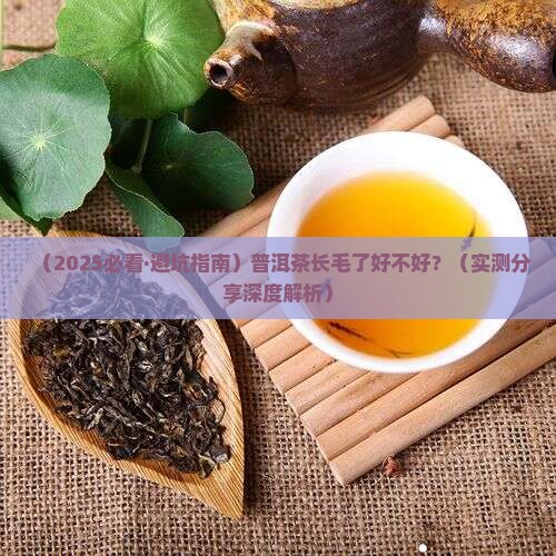 普洱茶长毛了好不好