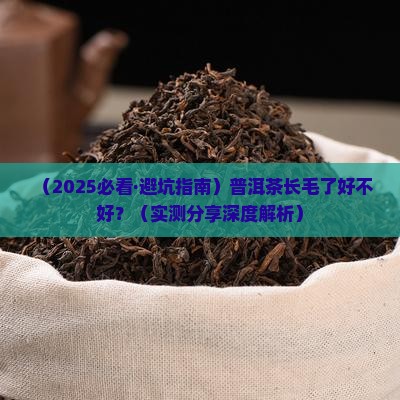 普洱茶长毛了好不好