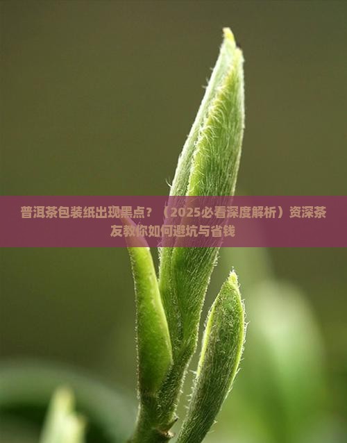 普洱茶包装纸出现黑点