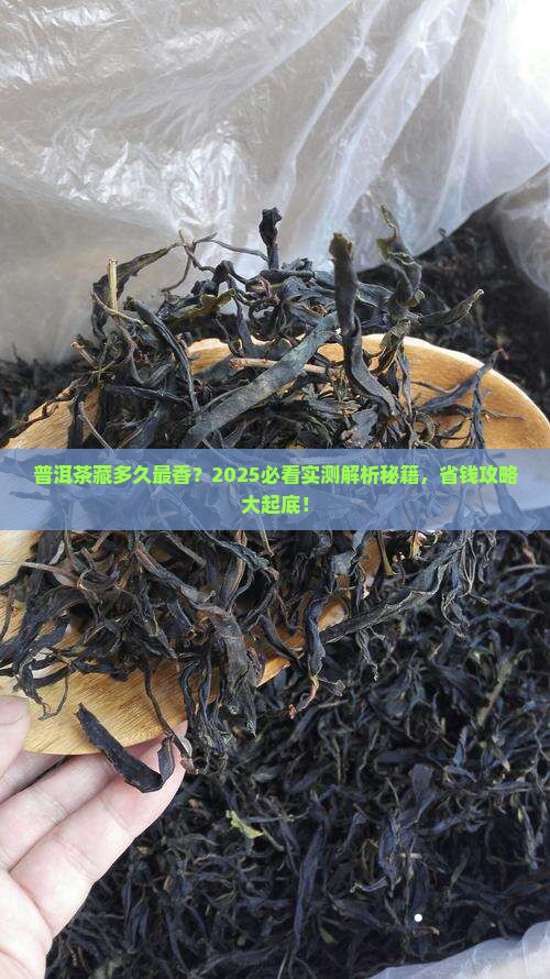 普洱茶最多能藏几年