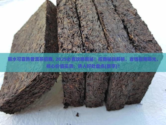 丽水可靠熟普洱茶招商