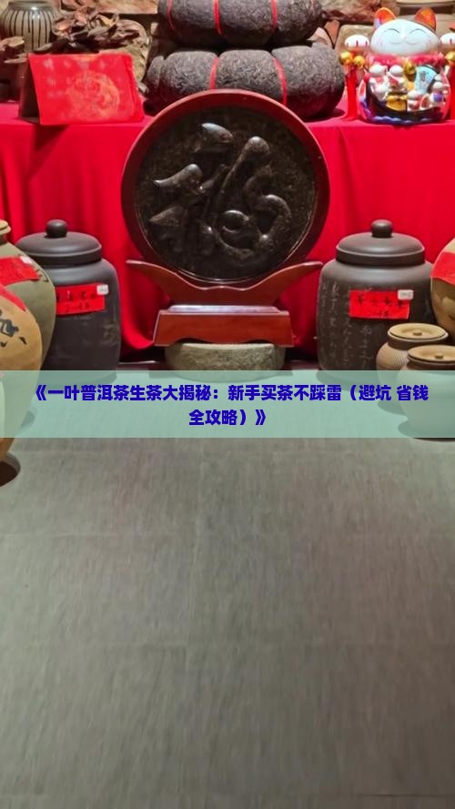 一叶普洱茶生茶