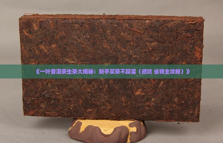 一叶普洱茶生茶