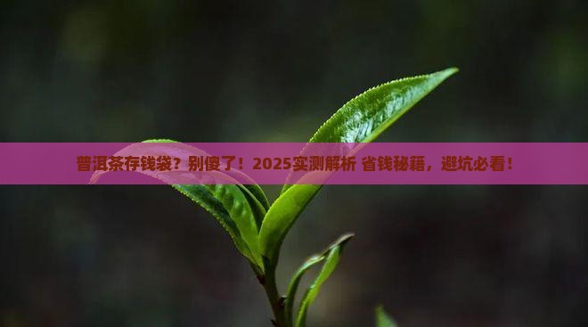 普洱茶能用食品袋存储吗