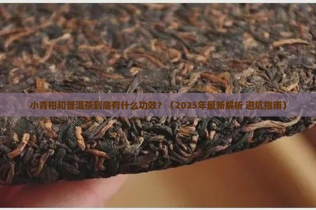 小青柑和普洱茶的功效与作用