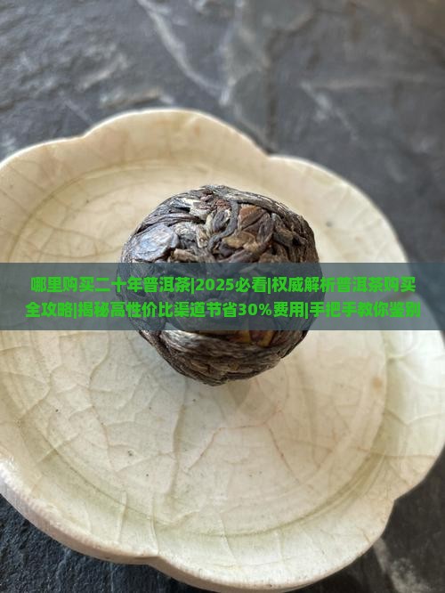 哪里购买二十年普洱茶