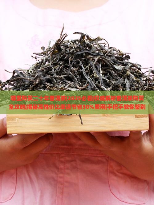 哪里购买二十年普洱茶