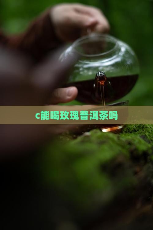 c能喝玫瑰普洱茶吗