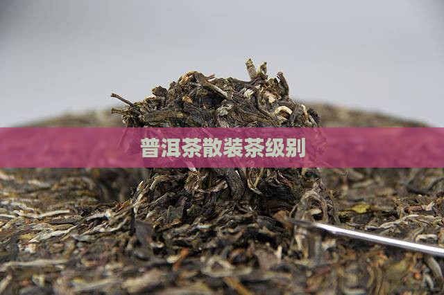 普洱茶散装茶级别