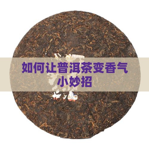 如何让普洱茶变香气小妙招