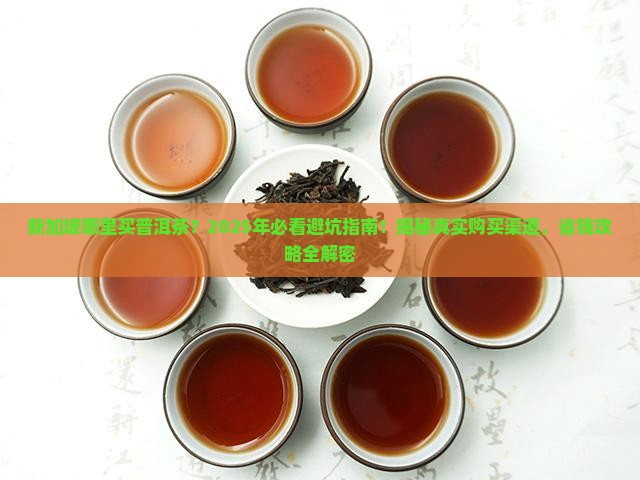新加坡那里买普洱茶