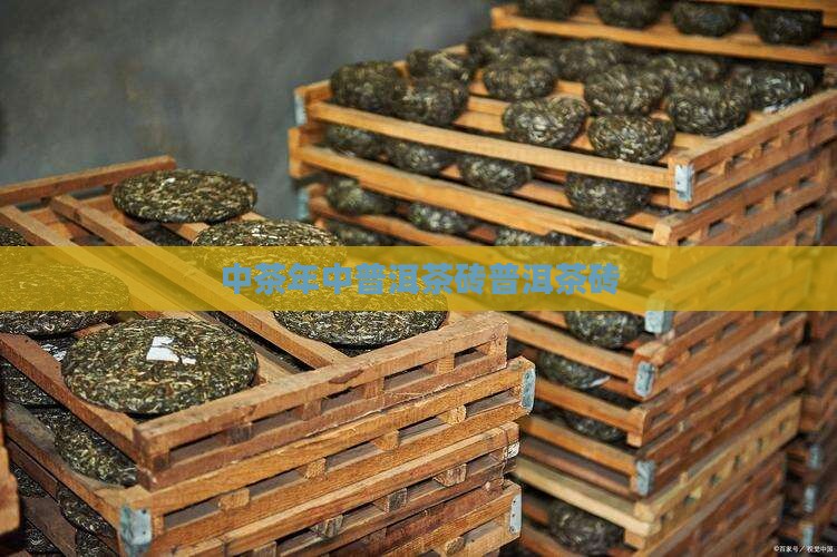 2007年中茶普洱茶砖