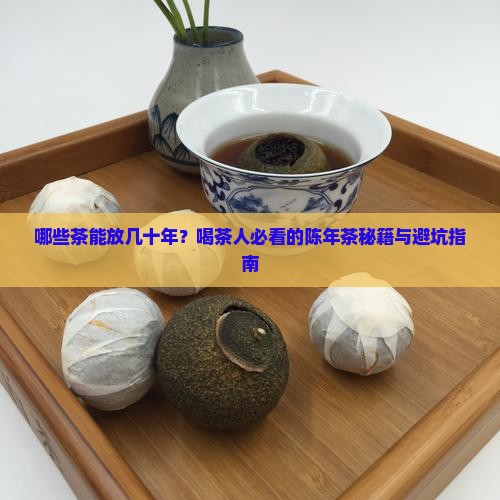 哪些茶可以放很久