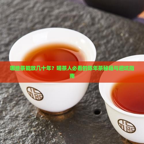 哪些茶可以放很久