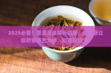 普洱怎么泡才合适