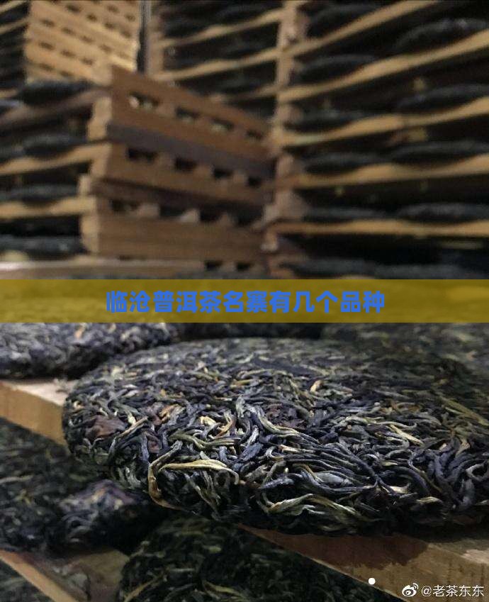 临沧普洱茶名寨有几个品种
