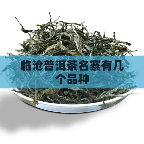 临沧普洱茶名寨有几个品种