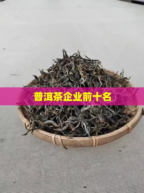普洱茶企业前十名