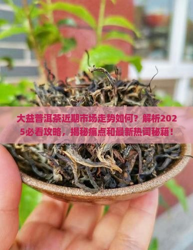 大益普洱茶近期市场走势