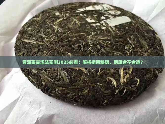 普洱茶适合放在茶壶里吗
