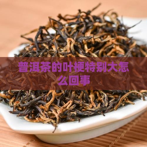 普洱茶的叶梗特别大怎么回事