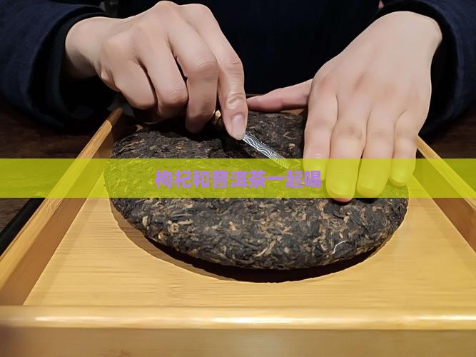 枸杞和普洱茶一起喝