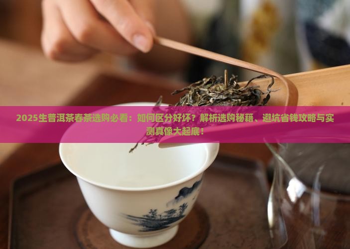 生普洱茶春茶怎么区分好坏