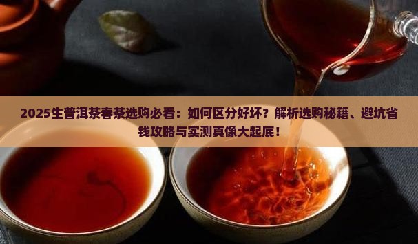 生普洱茶春茶怎么区分好坏