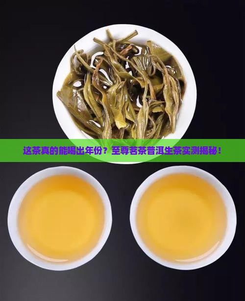 至尊茗茶普洱茶生茶