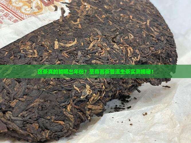 至尊茗茶普洱茶生茶